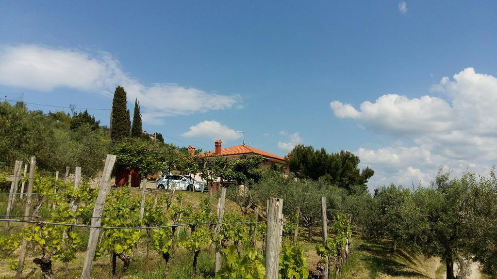 Mejak & Bordon Villa Sečovlje Exteriör bild