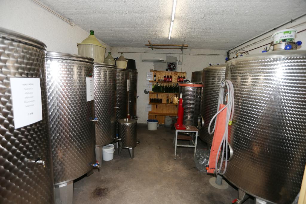 Mejak & Bordon Villa Sečovlje Exteriör bild