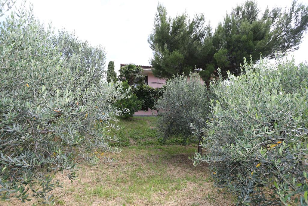 Mejak & Bordon Villa Sečovlje Exteriör bild