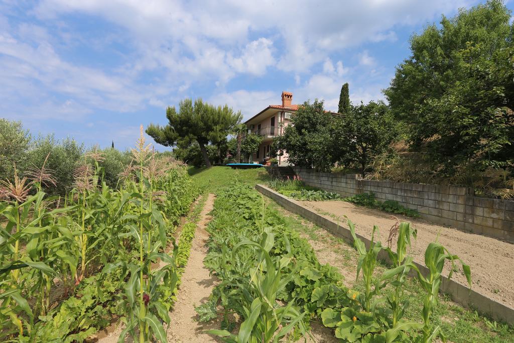 Mejak & Bordon Villa Sečovlje Exteriör bild