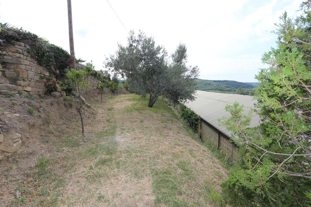 Mejak & Bordon Villa Sečovlje Exteriör bild